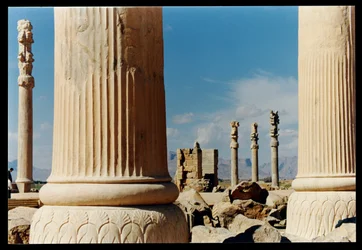 Columns from the eastern portico of the Apadana, c.500-480 BC